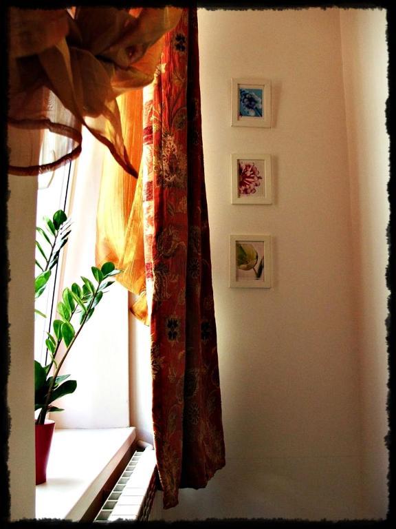 Appartamento I Studia Herbarium Cracovia